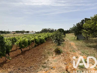 Terrain loisirs à Chiclana de la Frontera