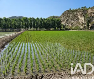 Terreno agricola en Moratalla