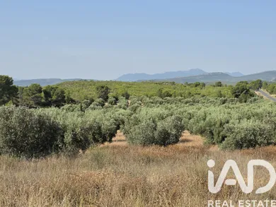 Farm land in Moratalla