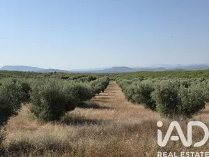 Terreno agricola en Moratalla