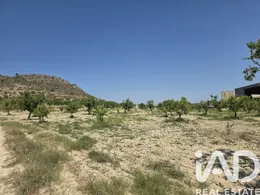 Terreno en Cehegín
