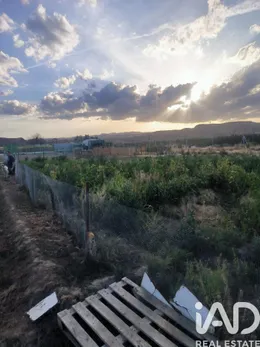 Farm land in Cortes y Graena