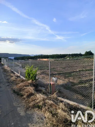 Terrain agricole à Cortes y Graena