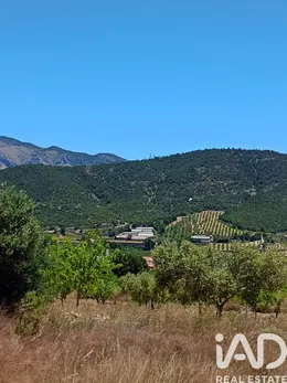 Terreno rústico en Lorca