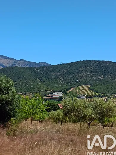 Terreny rústic a Lorca