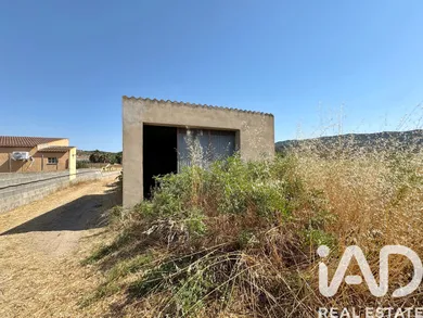 Leisure land in Riba-roja d'Ebre