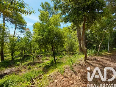 Terreny a Castellar del Vallès