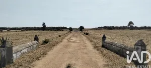 Leisure land in Dos Hermanas