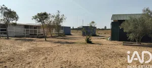 Terreny rústic a Dos Hermanas