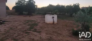 Terreny rústic a cañada rosal