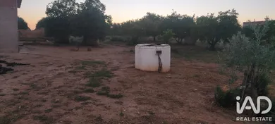 Terreny rústic a cañada rosal