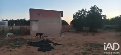 Terreny rústic a cañada rosal