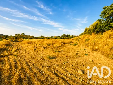 Terrain agricole à Calasparra