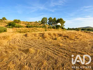 Terreno agricola en Calasparra
