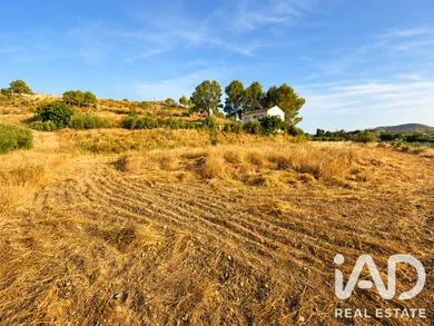 Terrain agricole à Calasparra