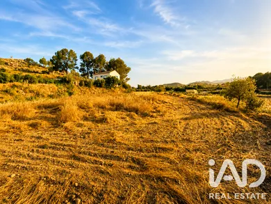 Terrain agricole à Calasparra