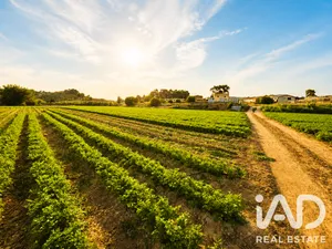 Terreno agricola en Calasparra