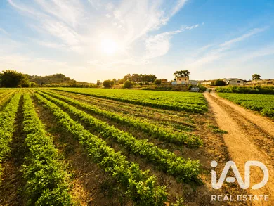 Terreno agricola en Calasparra
