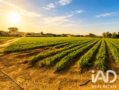 Terreno agricola en Calasparra