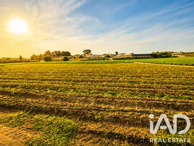 Terreno agricola en Calasparra