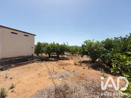 Terreno agricola en Ondara-Alicante