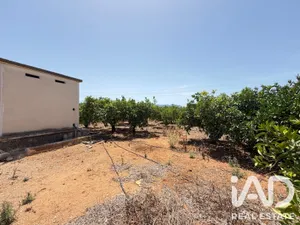 Terreno agricola en Ondara-Alicante