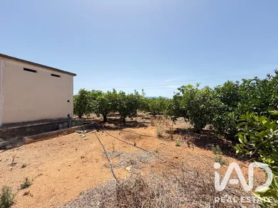 Farm land in Ondara-Alicante