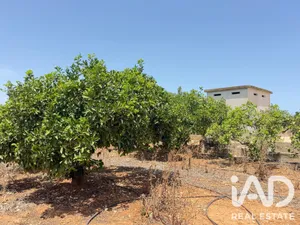 Farm land in Ondara-Alicante