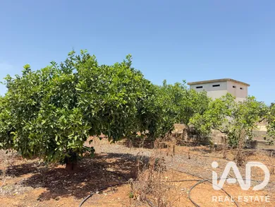 Farm land in Ondara-Alicante