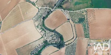 Terreny agrícola a Llorenç del Penedès