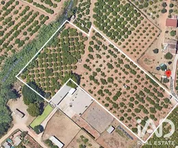 Terreno agricola en Ondara-Alicante
