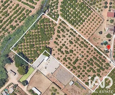 Farm land in Ondara-Alicante