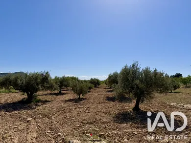 Terreny rústic a RICOTE