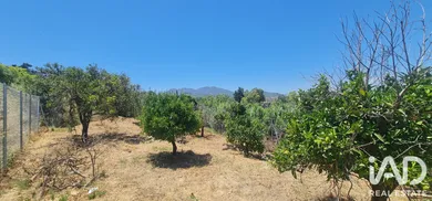 Terreno rústico en Alhaurín el Grande
