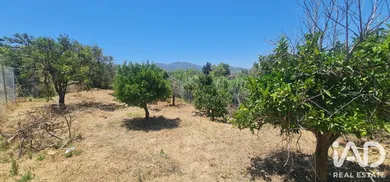 Terreno rústico en Alhaurín el Grande