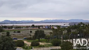 Apartment in Torrevieja