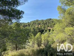 Terrain loisirs à Asco