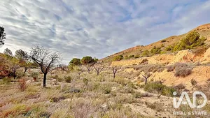 Land in Agost