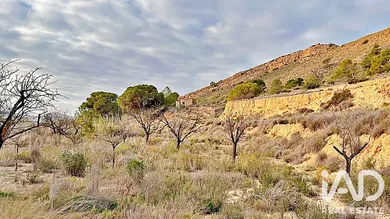 Land in Agost