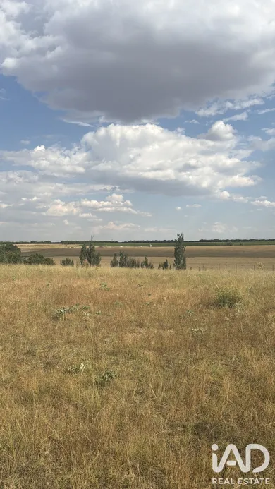 Terreny a Medina del Campo
