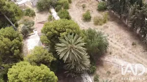 Domaine à Alicante