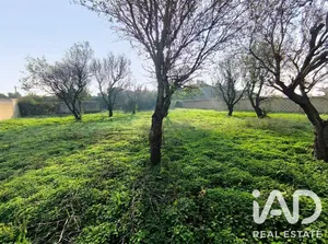 Terreno rústico en Chiclana de la Frontera