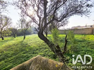 Leisure land in Chiclana de la Frontera