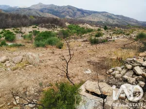 Farm land in Xerta