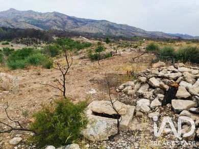 Farm land in Xerta