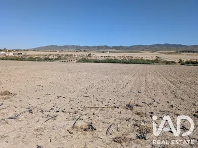 Terreno agricola en Lorca