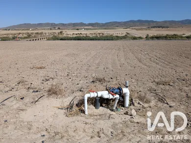 Terreno agricola en Lorca