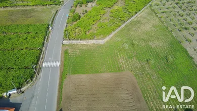 Building plot in Ribadumia