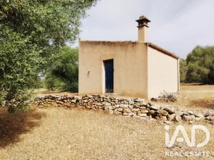 Terreny agrícola a Tortosa