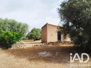 Terrain agricole  à Tortosa